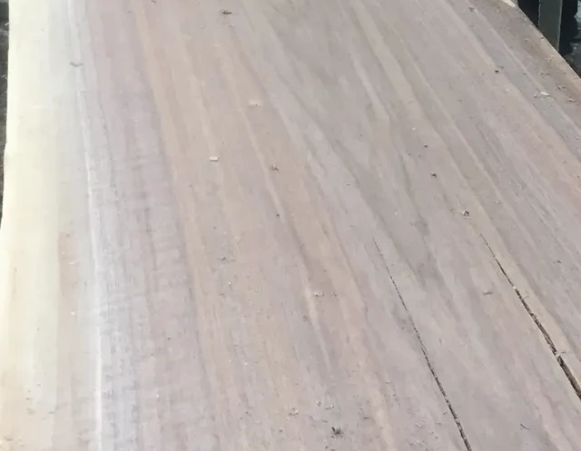 Close-up of rich, cathedral-grain black walnut slab