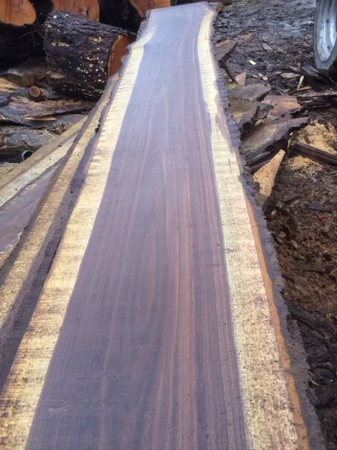 Wood Slabs